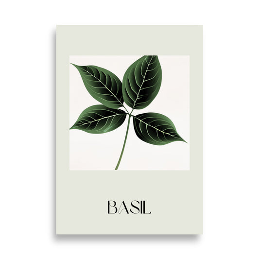 Basil Poster